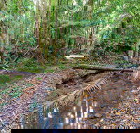 Ulidarra National Park - Tourism Caloundra