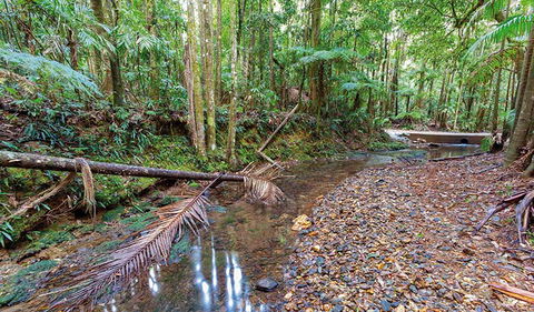 Ulidarra National Park - Tourism Caloundra 0