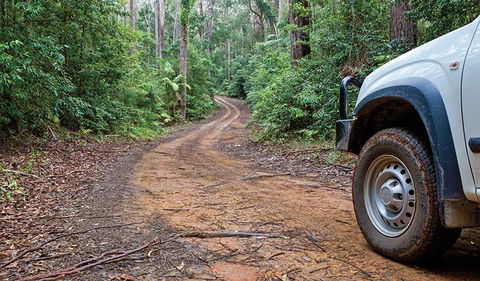 Ulidarra National Park - Tourism Caloundra 2