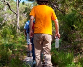 Naree Budjong Djara National Park - Tourism Caloundra 3