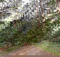 End Peak walking track - Tourism Caloundra