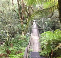 Bemm River Scenic Reserve - Tourism Caloundra