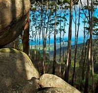 Mount Gulaga Mount Dromedary Walk - Tourism Caloundra