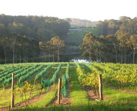 Bellbird Scenic Drive Tilba - Tourism Caloundra 3