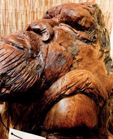 Tobwabba Art - Tourism Caloundra 1