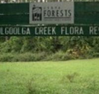 Woolgoolga Creek Flora Reserve - Tourism Caloundra