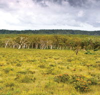 Yuraygir National Park - Tourism Caloundra