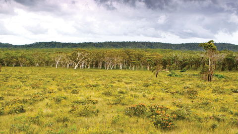 Yuraygir National Park - Tourism Caloundra 0