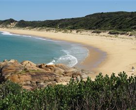 Cape Conran Nature Trail - Tourism Caloundra 1