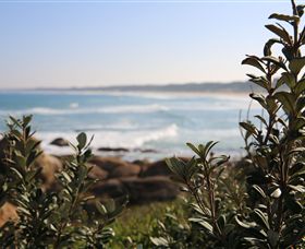 Cape Conran Nature Trail - Tourism Caloundra 0