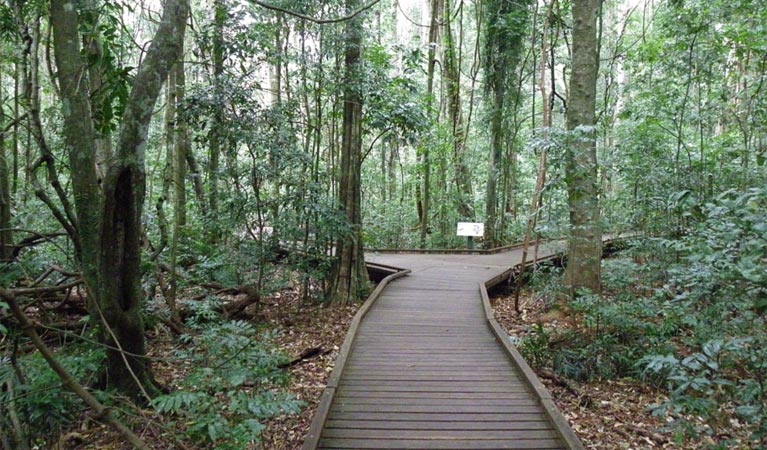 Dalwood NSW Tourism Caloundra