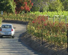 Cassegrain Wines - Tourism Caloundra 0