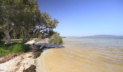 Booti Booti National Park - Tourism Caloundra 1