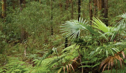 Booti Booti National Park - Tourism Caloundra 2