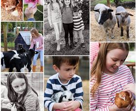 Roses Vineyard And Animal Farm - Tourism Caloundra 1