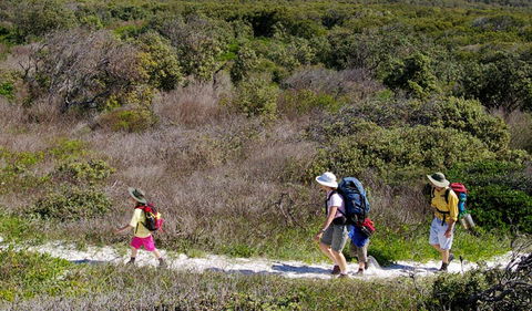 Yuraygir Coastal Walk - Tourism Caloundra 0