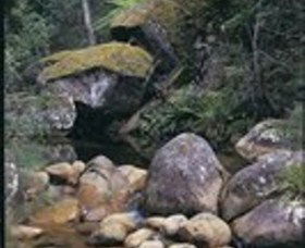 Mumbulla Creek Falls And Picnic Area - Tourism Caloundra 1