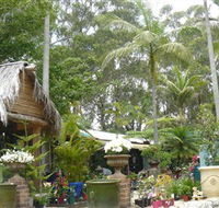 Diamond Waters Garden Nursery - Tourism Caloundra