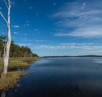 Lake Innes Nature Reserve - Tourism Caloundra