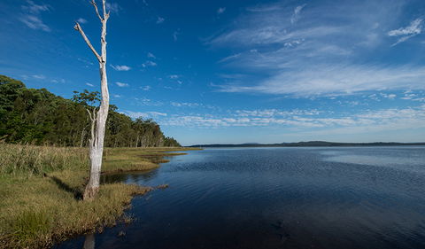 Lake Innes Nature Reserve - Tourism Caloundra 0