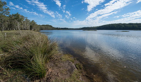 Lake Innes Nature Reserve - Tourism Caloundra 1