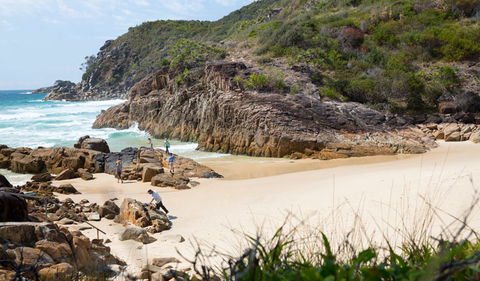 Little Bay Beach - Tourism Caloundra 3