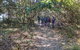 Brunswick Heads Nature Reserve - thumb 3