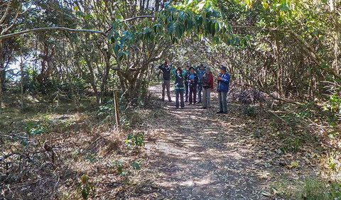 Brunswick Heads Nature Reserve - Tourism Caloundra 3