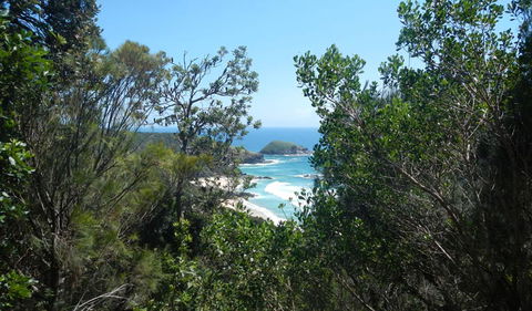 Jack Perkins Walking Track - Tourism Caloundra 1