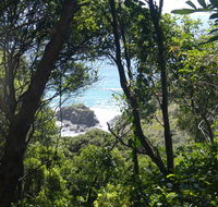 Rainforest walking track - Tourism Caloundra