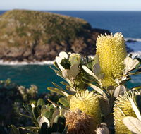 Green Island walking track - Tourism Caloundra