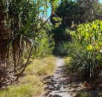 North Head walking track - Tourism Caloundra