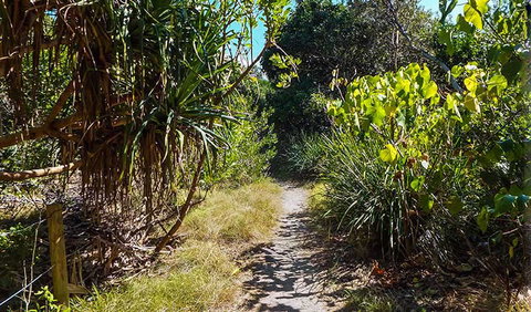 North Head Walking Track - Tourism Caloundra 0