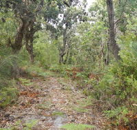 Kinchela Trig Lookout walk - Tourism Caloundra