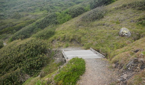 Connors Walking Track - Tourism Caloundra 2