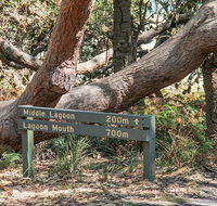 Middle Lagoon walking track - Tourism Caloundra
