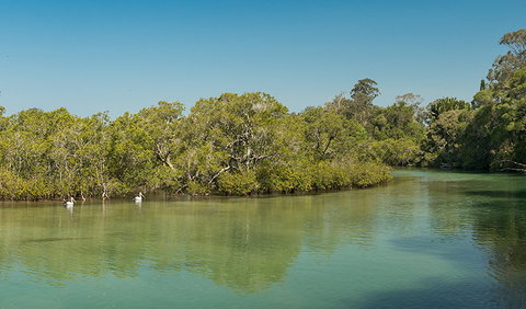 Tyagarah Nature Reserve - Tourism Caloundra 0