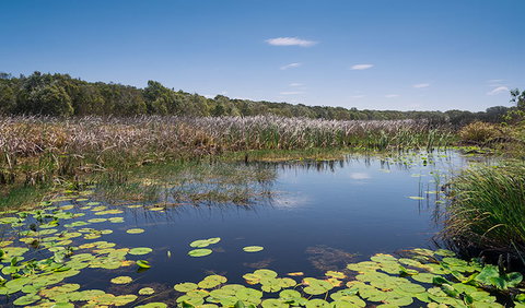 Tyagarah Nature Reserve - Tourism Caloundra 1
