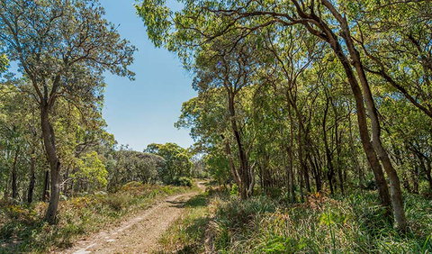Tyagarah Nature Reserve - Tourism Caloundra 2