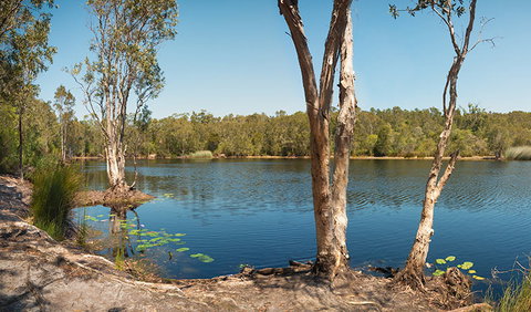 Tyagarah Nature Reserve - Tourism Caloundra 3