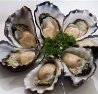 Tathra Oysters - Tourism Caloundra