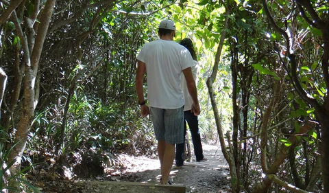 Three Sisters Walking Track - Tourism Caloundra 0