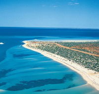 Monkey Mia - Tourism Caloundra