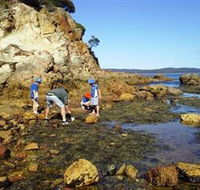 Sapphire Coast Marine Discovery Centre - Tourism Caloundra