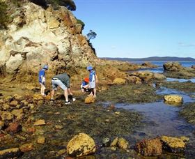 Sapphire Coast Marine Discovery Centre - Tourism Caloundra 0