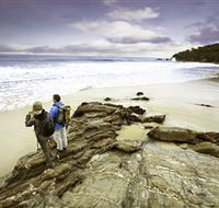Wilderness Coast Walk - Tourism Caloundra