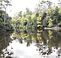 Arthur River - Tourism Caloundra