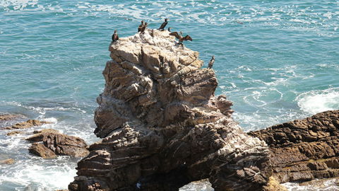 Ben Boyd National Park - Tourism Caloundra 2