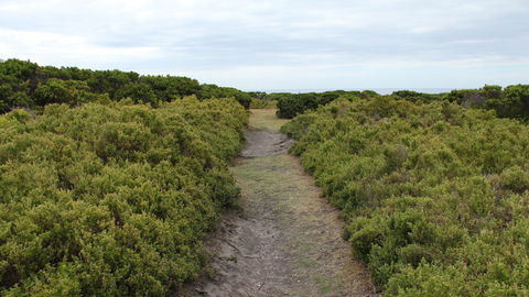 Ben Boyd National Park - Tourism Caloundra 3