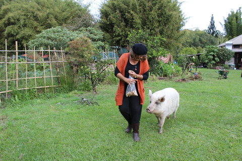 Djanbung Permaculture Gardens - Tourism Caloundra 7